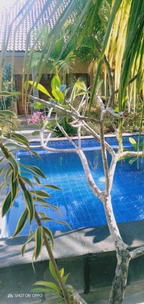 Belong Home Stay Lembongan Buitenkant foto